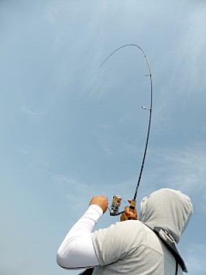 truth news ブログ写真 2013/05/22