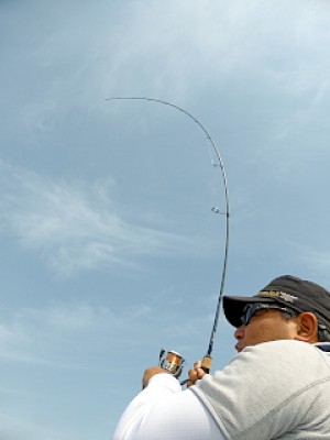 truth news ブログ写真 2013/05/22