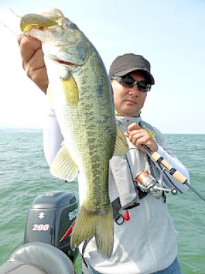 truth news ブログ写真 2013/05/22