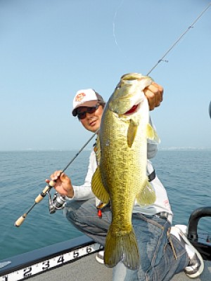 truth news ブログ写真 2013/05/22