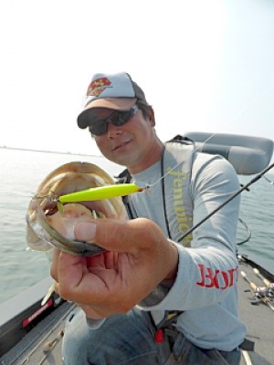 truth news ブログ写真 2013/05/22