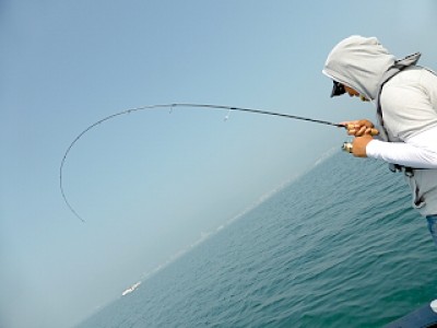 truth news ブログ写真 2013/05/22