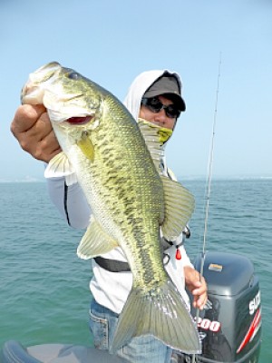 truth news ブログ写真 2013/05/22