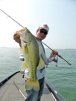 truth news ブログ写真 2013/05/22