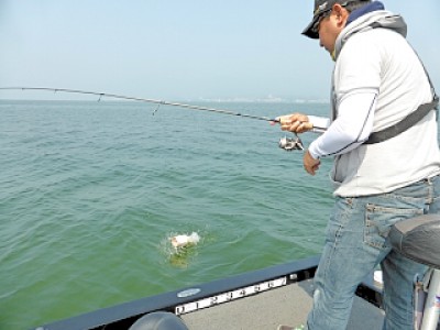 truth news ブログ写真 2013/05/22