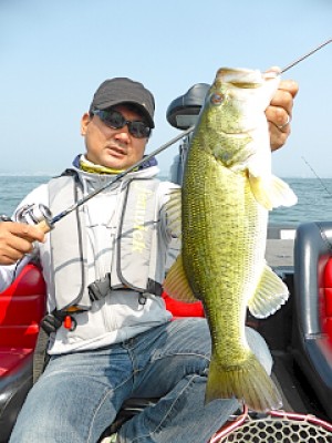 truth news ブログ写真 2013/05/22