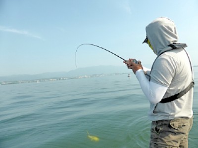 truth news ブログ写真 2013/05/23