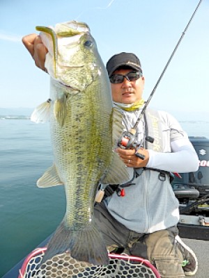 truth news ブログ写真 2013/05/23