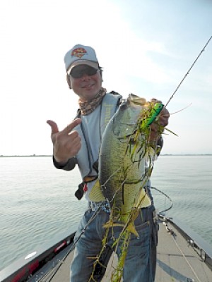 truth news ブログ写真 2013/05/23