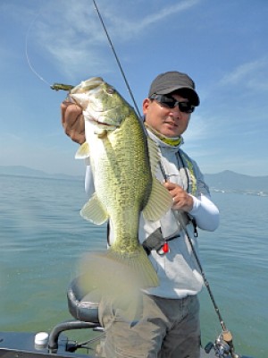 truth news ブログ写真 2013/05/23