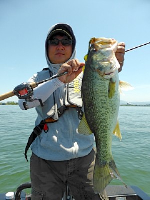 truth news ブログ写真 2013/05/23