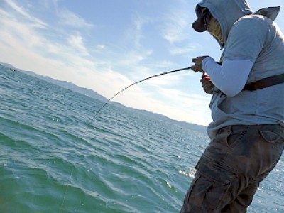 truth news ブログ写真 2013/05/23