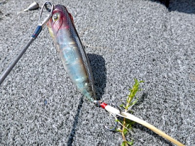 truth news ブログ写真 2013/05/25