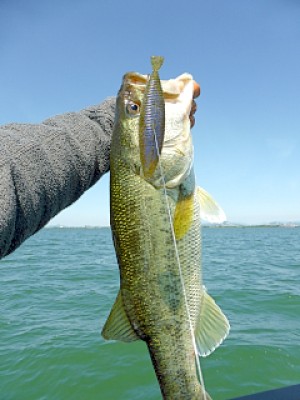 truth news ブログ写真 2013/05/25