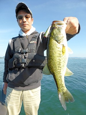 truth news ブログ写真 2013/05/25