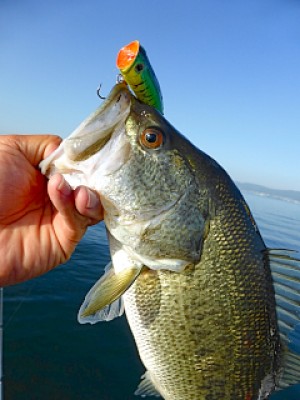 truth news ブログ写真 2013/05/25