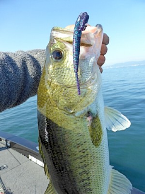 truth news ブログ写真 2013/05/25