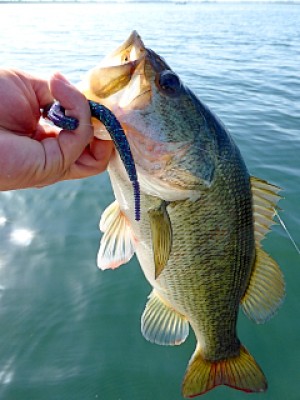 truth news ブログ写真 2013/05/25