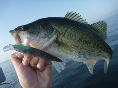 truth news ブログ写真 2013/05/25