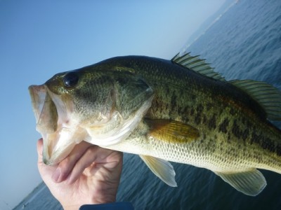 truth news ブログ写真 2013/05/25