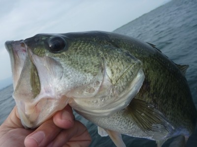 truth news ブログ写真 2013/05/25