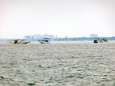 truth news ブログ写真 2013/05/27