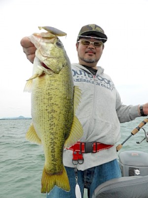 truth news ブログ写真 2013/05/27