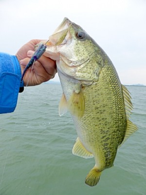 truth news ブログ写真 2013/05/27