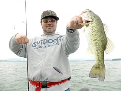 truth news ブログ写真 2013/05/27