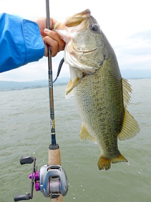 truth news ブログ写真 2013/05/27