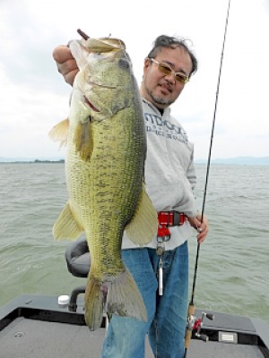 truth news ブログ写真 2013/05/27