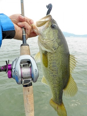 truth news ブログ写真 2013/05/27