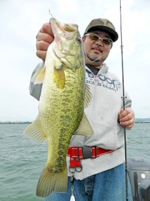 truth news ブログ写真 2013/05/27