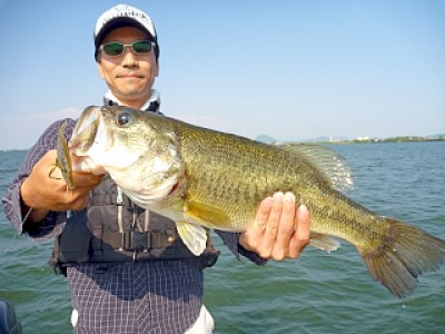 truth news ブログ写真 2013/06/08