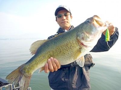 truth news ブログ写真 2013/06/08