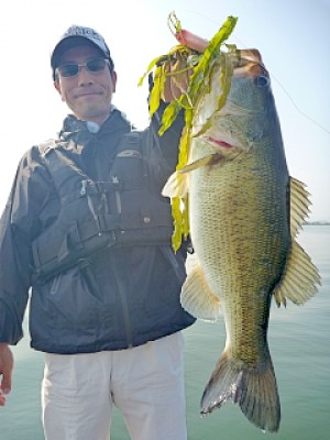 truth news ブログ写真 2013/06/08