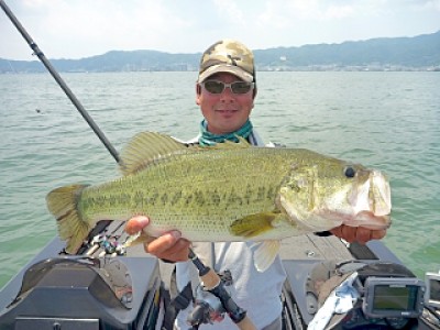 truth news ブログ写真 2013/06/08