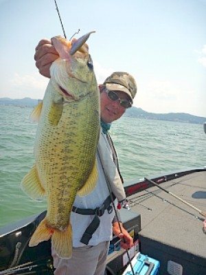 truth news ブログ写真 2013/06/08