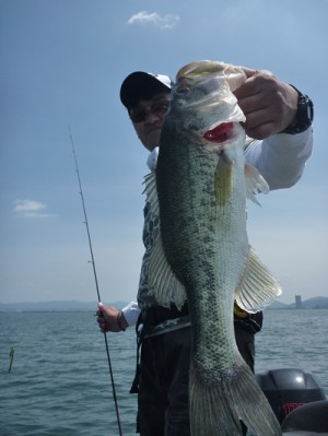 truth news ブログ写真 2013/06/08