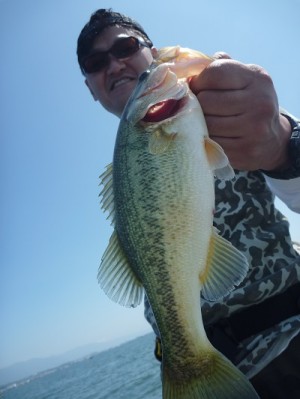 truth news ブログ写真 2013/06/08