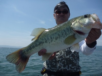 truth news ブログ写真 2013/06/08