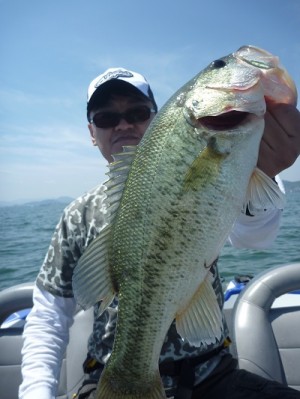 truth news ブログ写真 2013/06/08