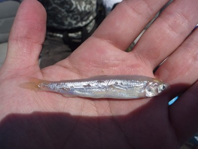 truth news ブログ写真 2013/06/08