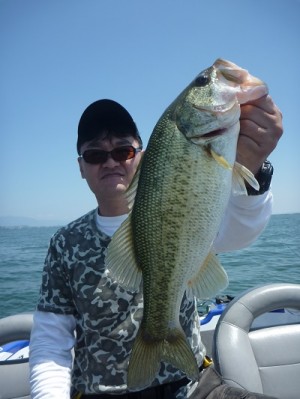 truth news ブログ写真 2013/06/08