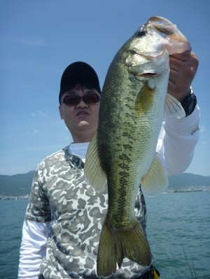 truth news ブログ写真 2013/06/08