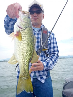 truth news ブログ写真 2013/06/10