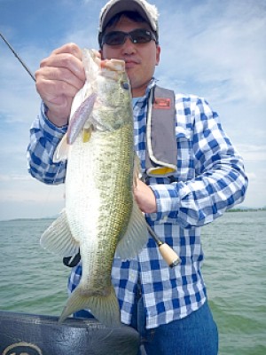 truth news ブログ写真 2013/06/10