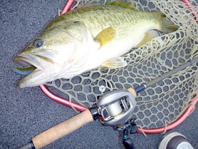 truth news ブログ写真 2013/06/10