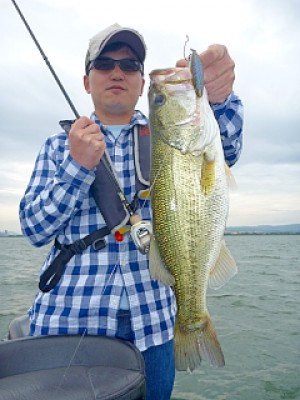 truth news ブログ写真 2013/06/10