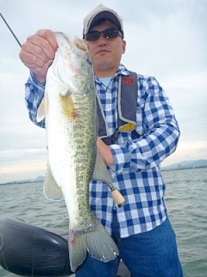 truth news ブログ写真 2013/06/10